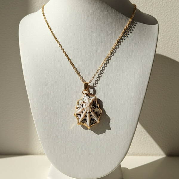 Seashell Necklace